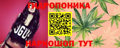 ГАЛЛЮЦИНОГЕННЫЕ ГРИБЫ Малгобек
