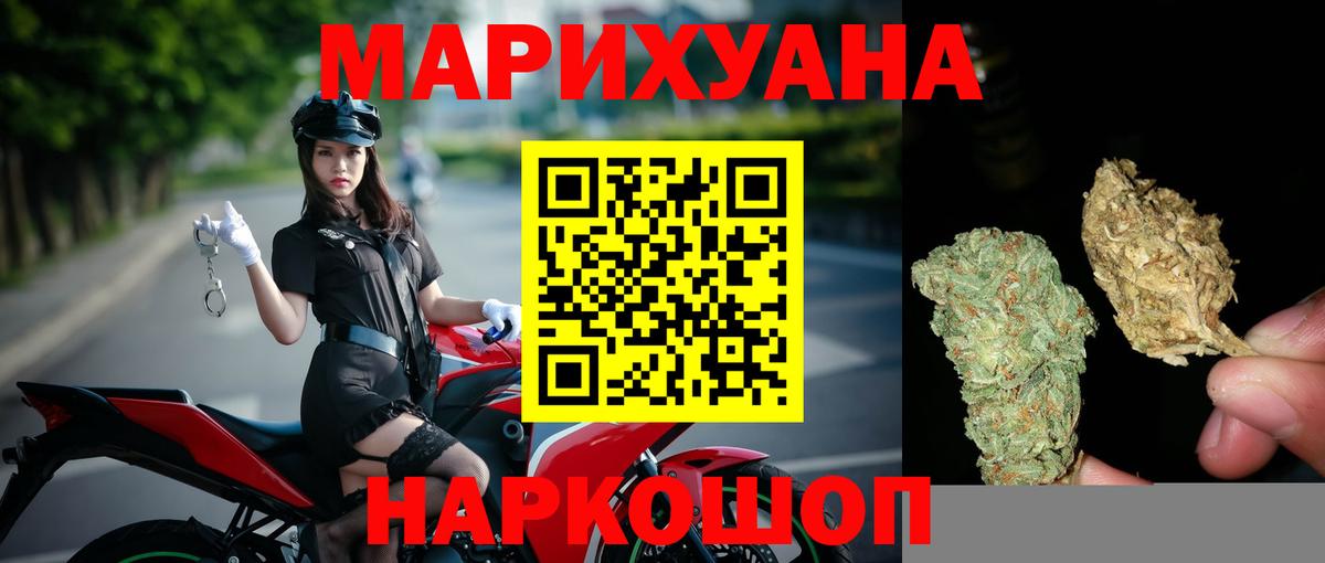 APVP Гусев
